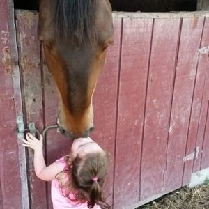 Meet your Posher, Kdb